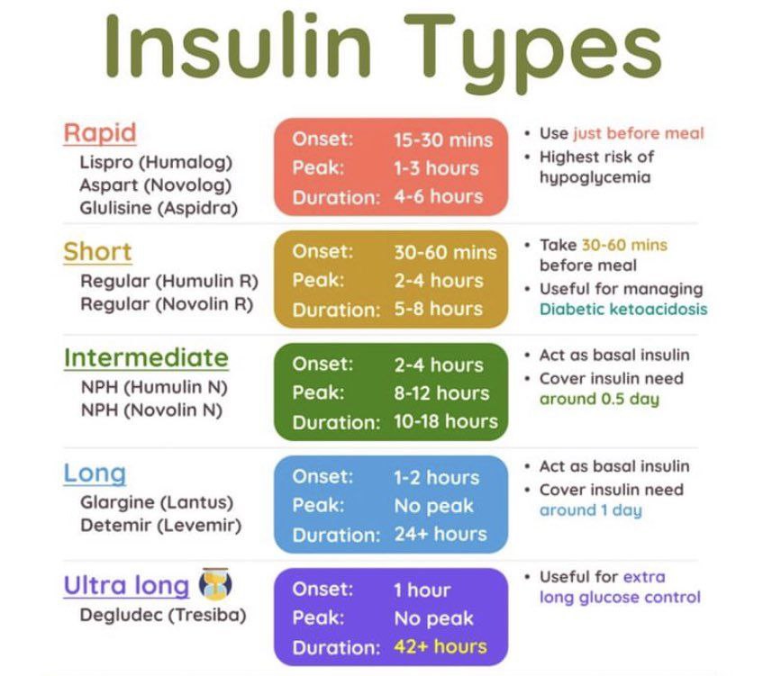 🚨 Insulin Types