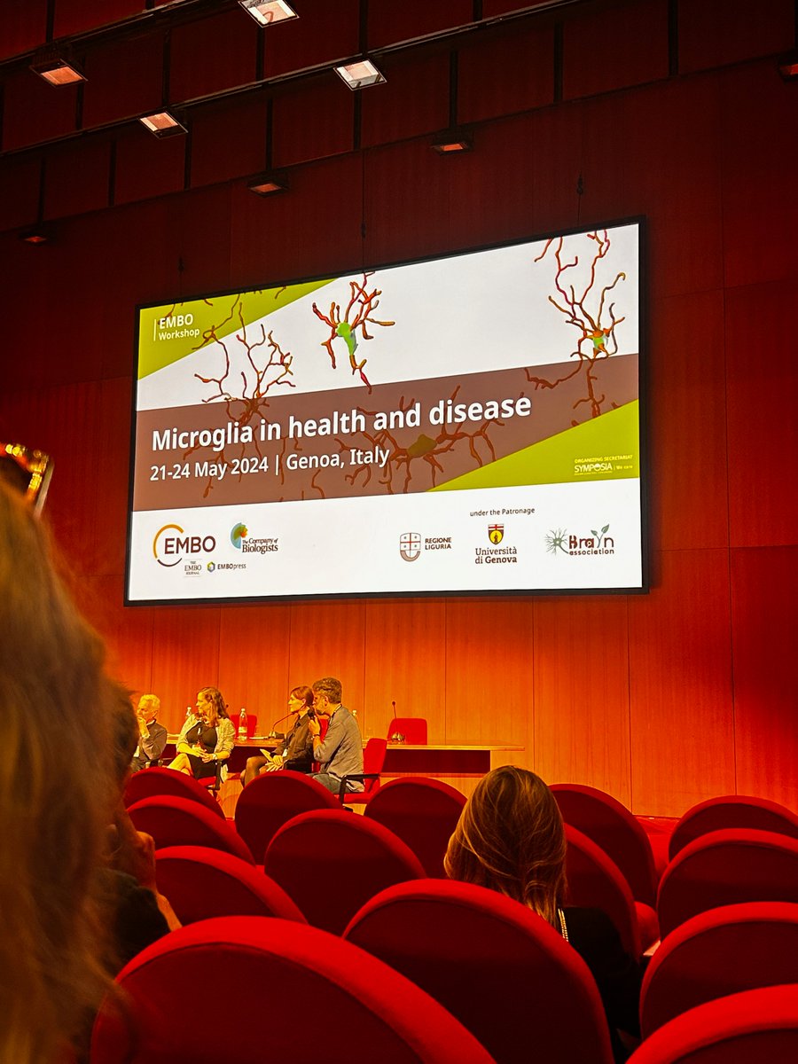 We are grateful to the EMBO organisation to gave us the #opportunity to participate and discussing our #research work on perinatal #stroke by <a href="/_emanuela_b/">Emanuela Beretta</a> with our colleagues and also having fun 🤩
#EMBOworkshop24 #microglia #memory #cognition #sociability