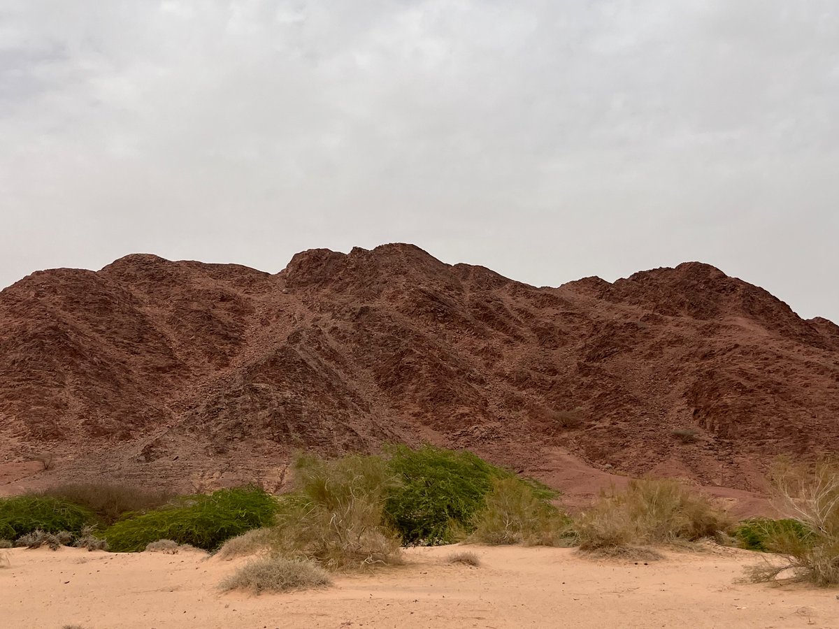 We are in Wadi Araba right now and the landscape is outstanding!! 😍