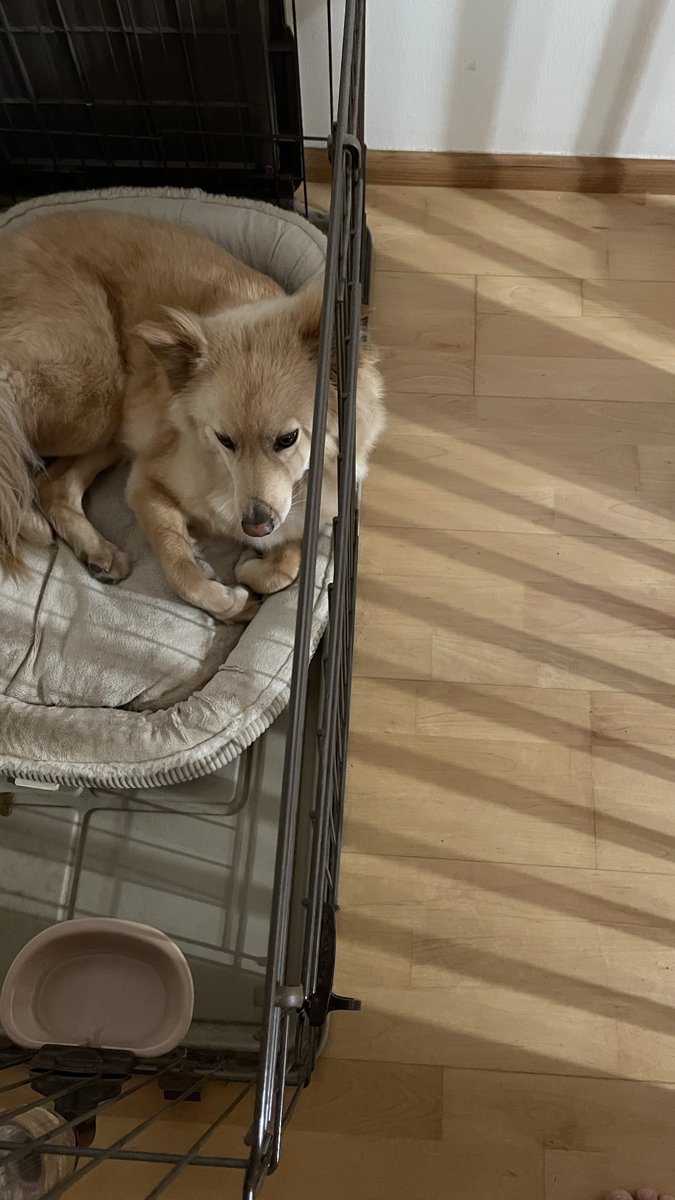 はみ出てますよ