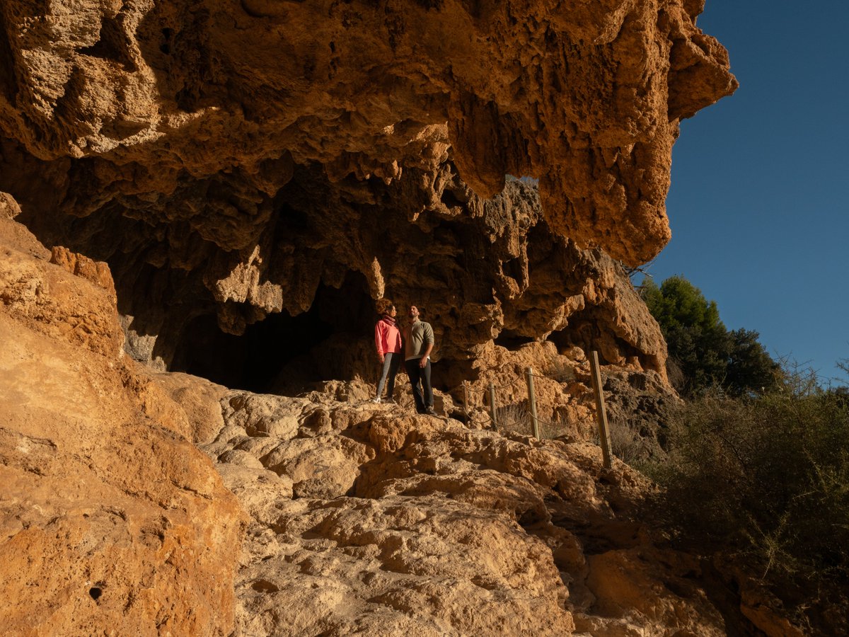 🌄 El Parque Geológico de @Chera  es el único de su clase en toda la @c_valenciana 👉en él podrás observar parte de la historia de nuestro planeta y alguno de los tres yacimientos de dinosaurios que contiene 😮
tierrabobal.es/.../parque-nat…

#ValenciaTurisme #ActitudMediterranea