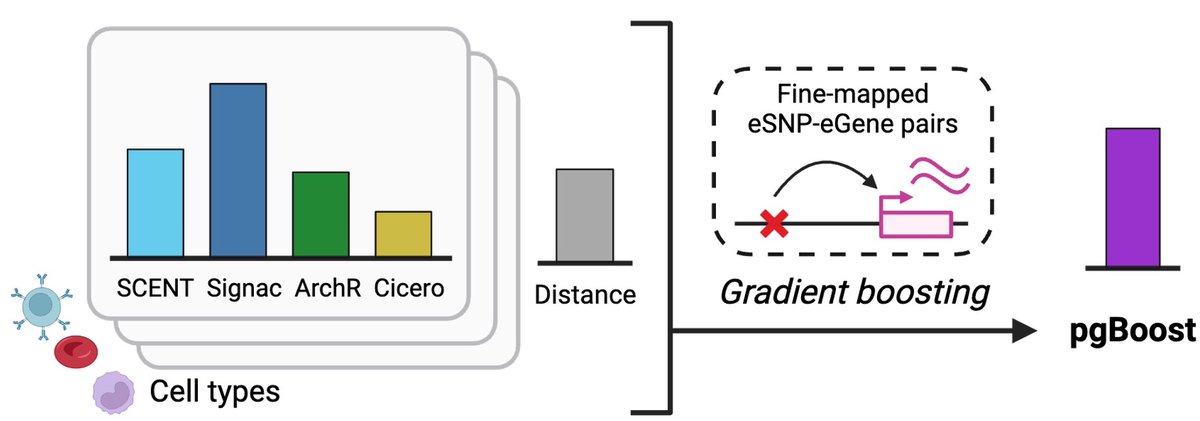 Elizabeth Dorans tweet media