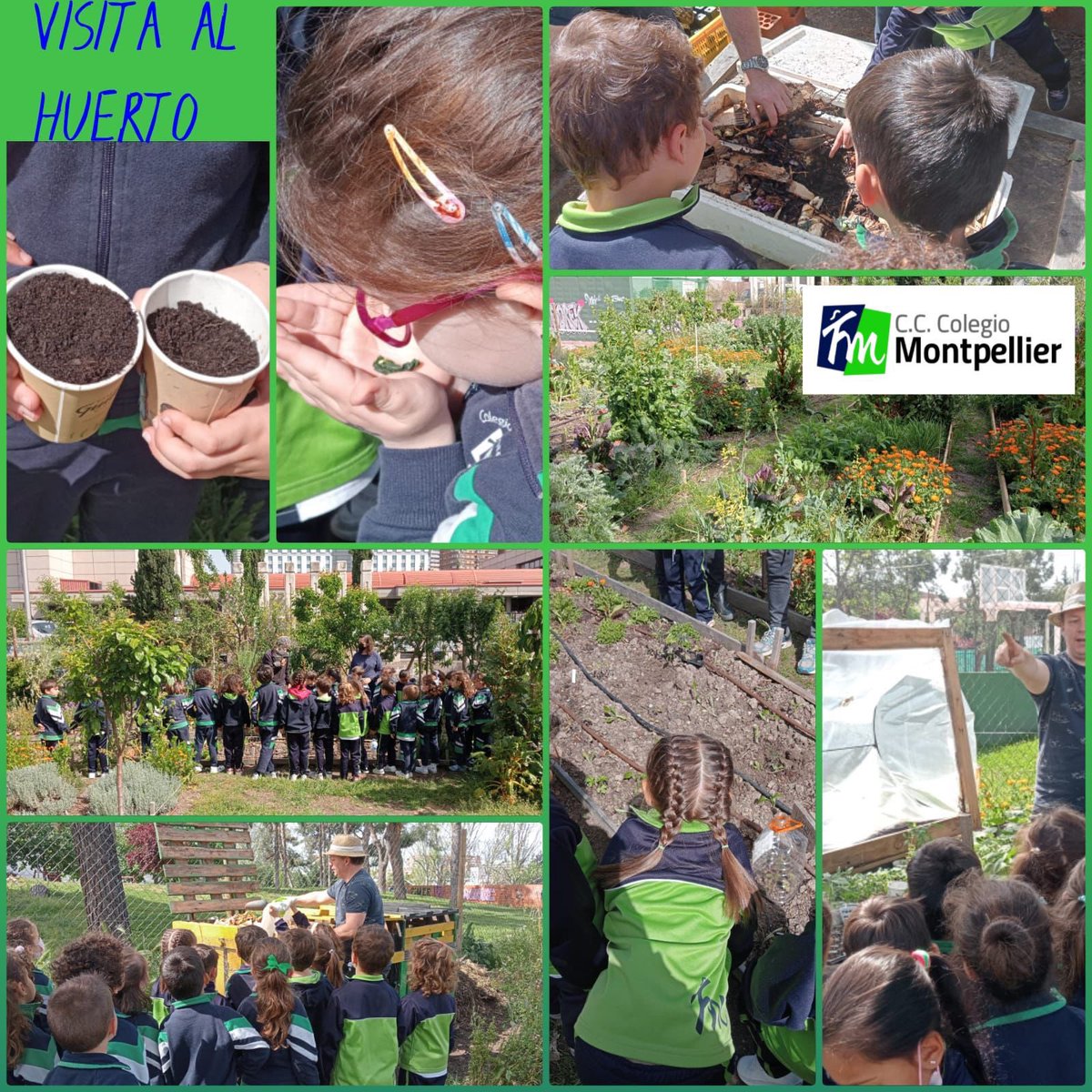 Colegio Montpellier tweet media