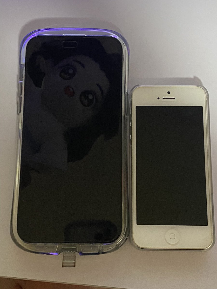 最初に使ったiPhoneが出てきたんだけど、今と大きさの違いがエグい笑

←iPhone14promax                       iPhone6→