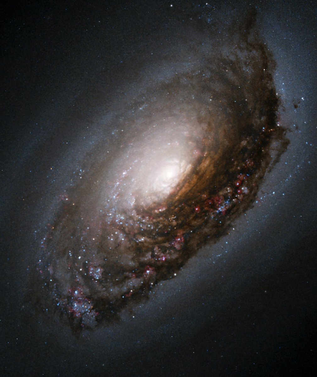 Galaxy M64—in this Hubble image—revealed a surprise: Gas in its outer regions is rotating in the opposite direction of the galaxy’s pinwheel arms. It’s likely the last evidence of a long-ago collision with a smaller galaxy that has been almost completely absorbed. Credit: NASA