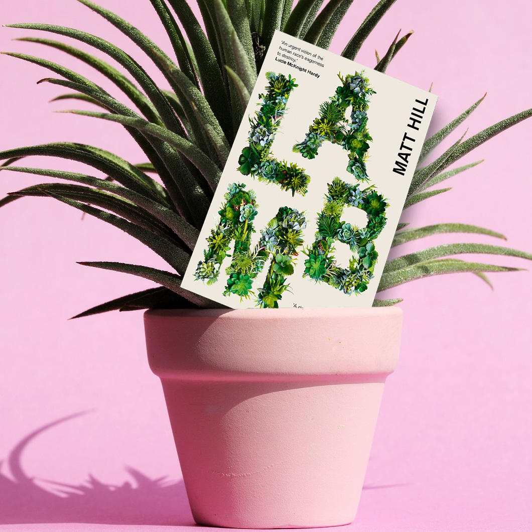 Matt Hill's latest novel LAMB (@DeadInkBooks) has plants growing on the cover. We put it in a plant pot to make sure it doesn't wilt before this Thursday's event. He'll be reading alongside Dan Carpenter, Glen James Brown & Abi Hynes. Doors are at 6.30pm. eventbrite.co.uk/e/blackwells-x…