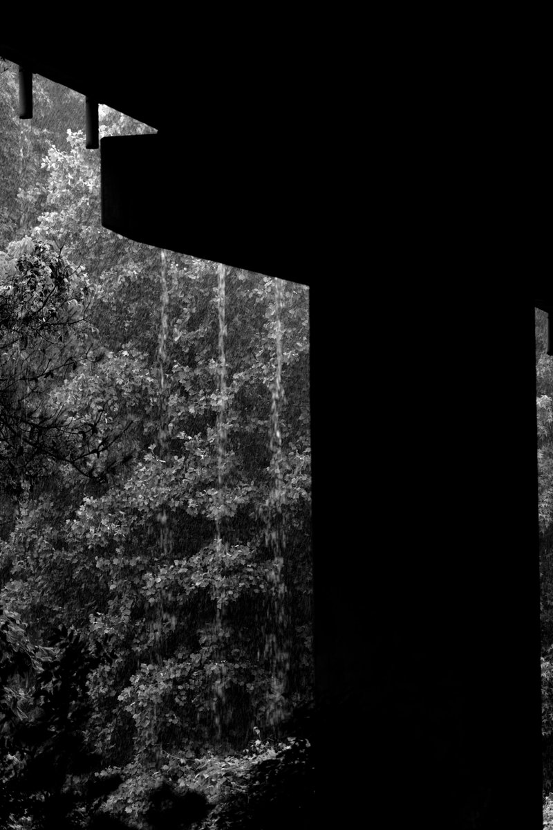 Ryan Allen tweet media