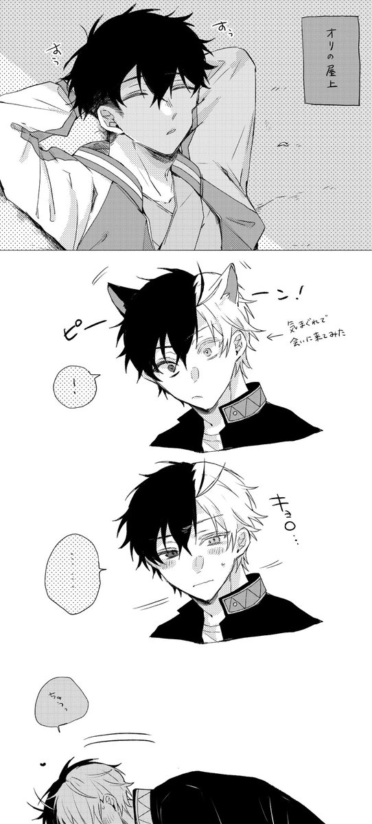 かめさく(とがさく)🐢🌸 🐱