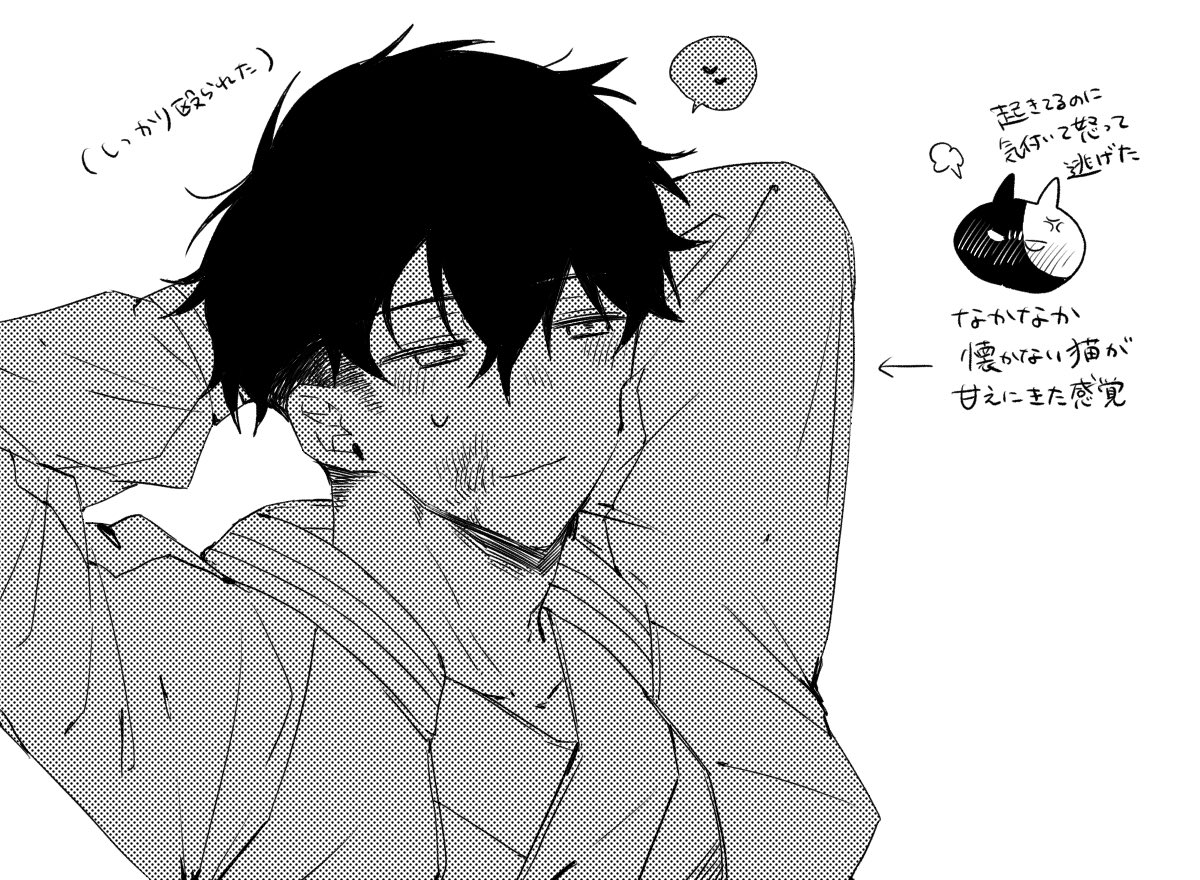 かめさく(とがさく)🐢🌸 🐱