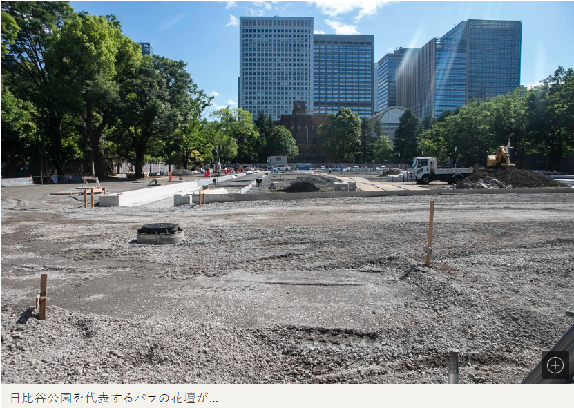 日比谷公園で多くの木々が伐採され、移植をされ、「芝広場」ばかりが作られようとしている。その利用例として、公園内の掲示板には「テレワーク」「マルシェ」「ヨガ大会」「キッチンカー」などが挙げられている。
これがたくさんの木々を伐採してやるべきことなのか。friday.kodansha.co.jp/article/374520