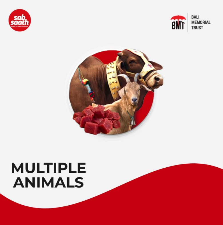 Every year Bali Memorial Trust delivers Qurbani meat to the poor and the less privileged families so they can enjoy this holy occasion like many of us.

Let's spread happiness together this Eid.

- Goat Rs.54,300
- Cow Share Rs.25,500
- Full Cow Rs.178,700