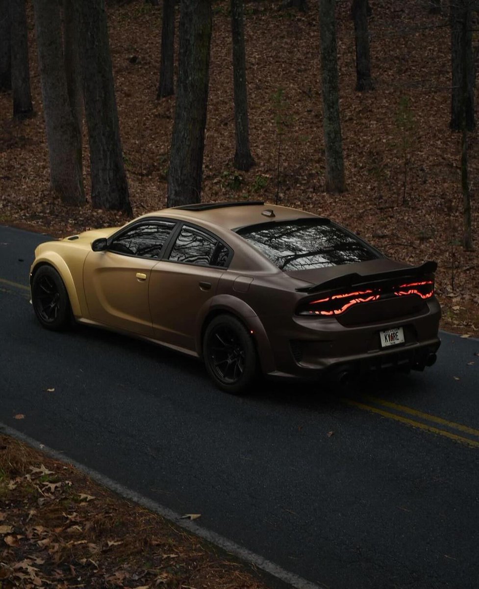 MoparChakmol's tweet image. Dope or Nope?