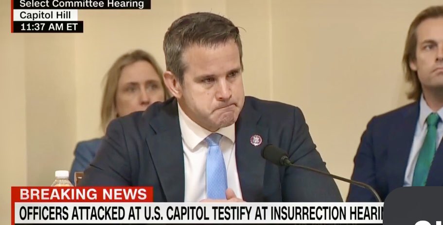 You’ve got a lot of nerve Adam, ( @RepKinzinger ) calling @EricTrump a child .. Seriously, look at yourself… Fake crying like a baby at your one-sided, fake hearing for an insurrection that never happened! I hope you’re in counseling! Looks like you need it.. 🙄