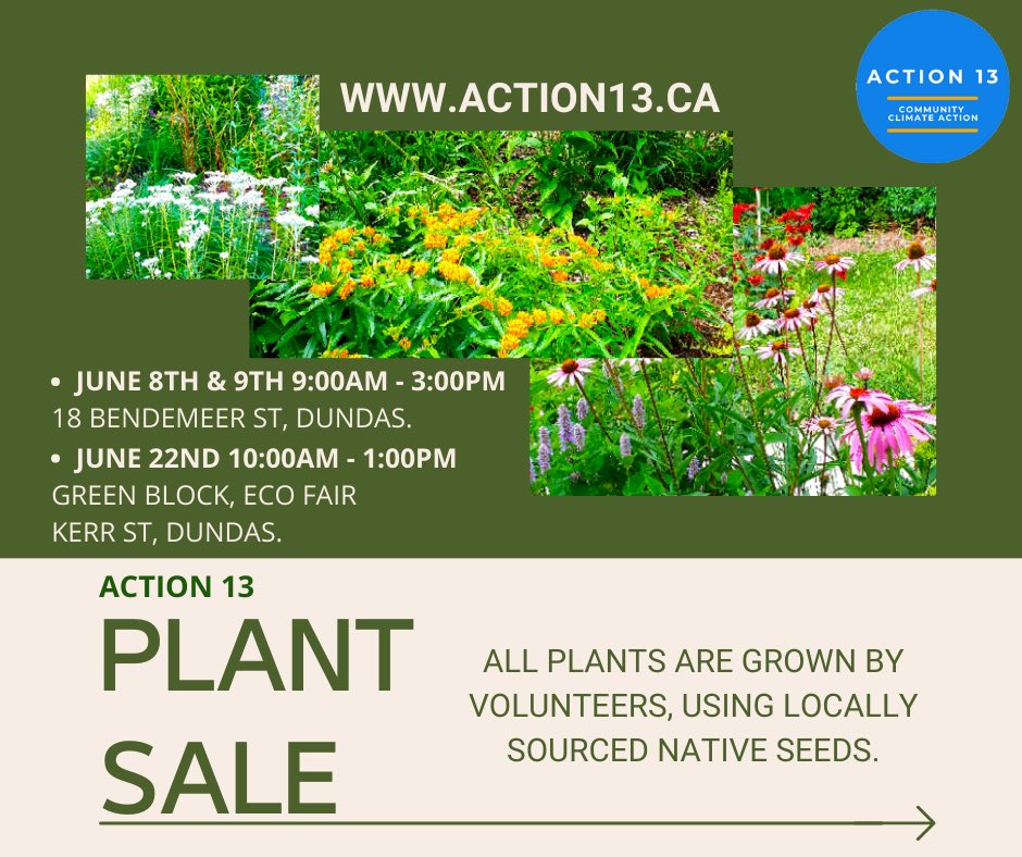 The plant list for our native plant sale June 8/9 is coming soon! #HamOnt #biodiversity