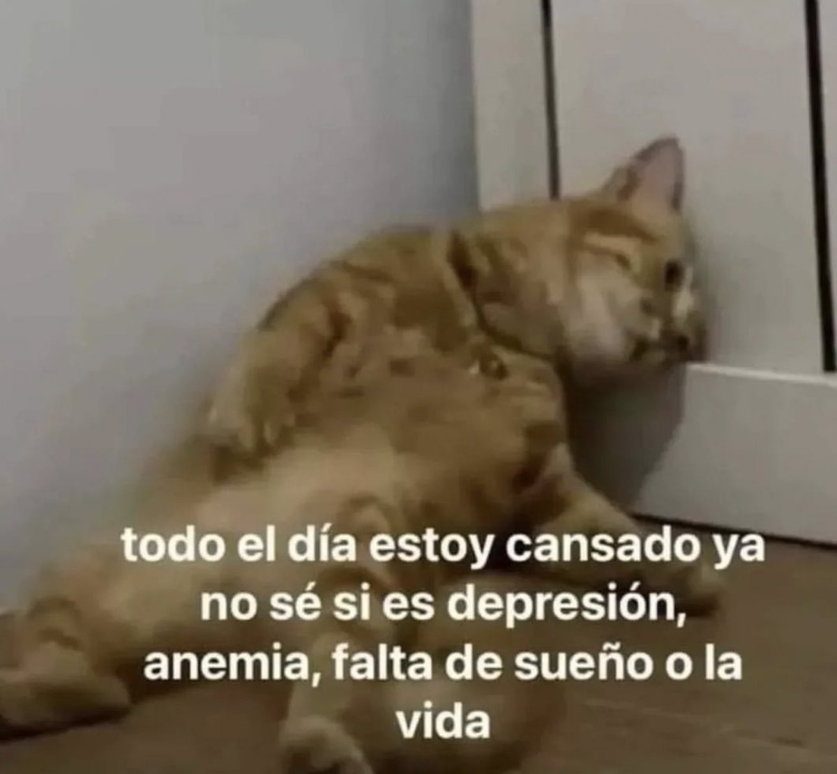 piña sin pizza (@skereunpesado) on Twitter photo 