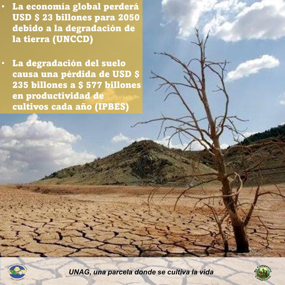 La degradación de la tierra es un proceso en el que el valor del medio ambiente biofísico se ve afectado por una combinación de procesos inducidos por el ser humano que actúan sobre la tierra.​ 
#medioambiente #SuelosSaludables
#productoresnicaraguenses
#unagnicaragua