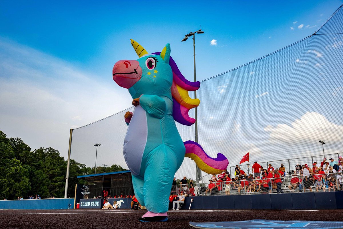 We’re still researching it but feeling pretty confident that a Mustang and a Unicorn are related! Welcome to #UILState Softball 🥎 Week!!