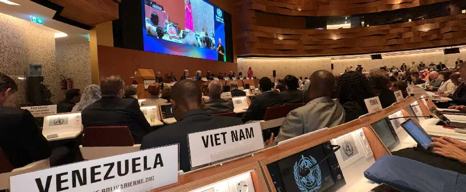MinSaludVE's tweet photo. #NotiSalud🩺 | Venezuela presente en la 77ª Asamblea Mundial de la Salud

Lee + aquí 👉 https://t.co/hAPewKSzcD

#JuntosPorCadaLatido
#29May 
@NicolasMaduro
@MagaGutierrezV https://t.co/QArTpvIF26