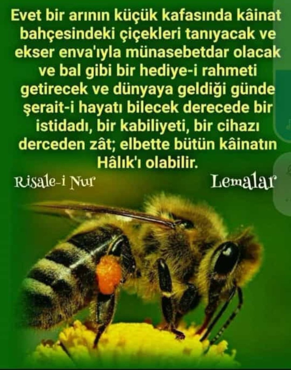 Ji Rîsale î Nur piçkî tefekür...