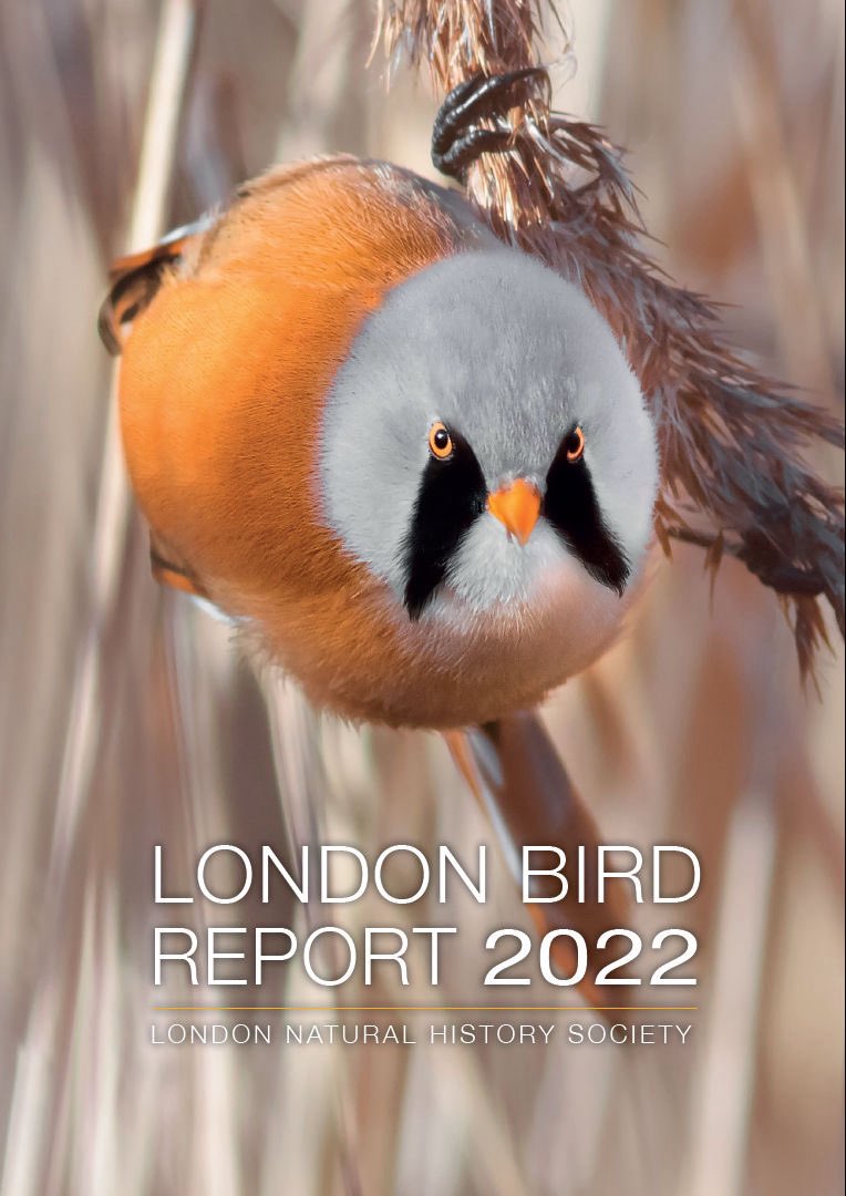 The London Bird Report 2022 has been published!
A big thank you to everyone involved. The 256 page publications has a systematic review of 2022 bird records by species and a number of papers.
To find out more about <a href="/LNHSoc/">LNHS</a> see our website: lnhs.org.uk/index.php/sect… <a href="/Gehan_de_Silva/">Gehan de Silva W</a>