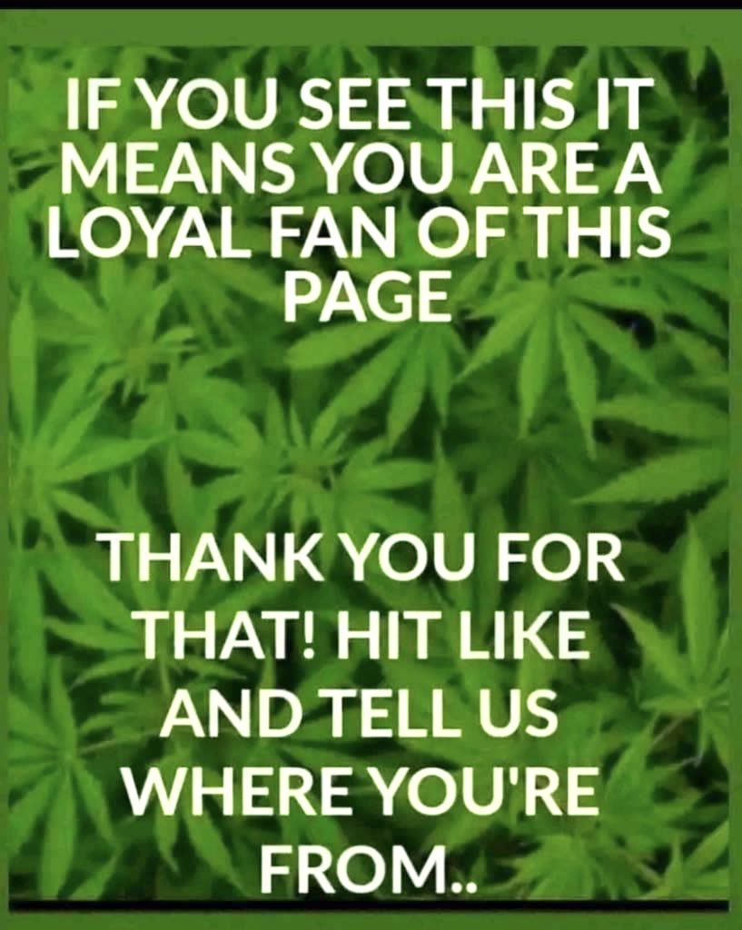 iFlyHigh™ 🎄 tweet media