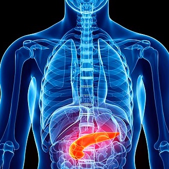 Artificial Intel 🤖 tweet media