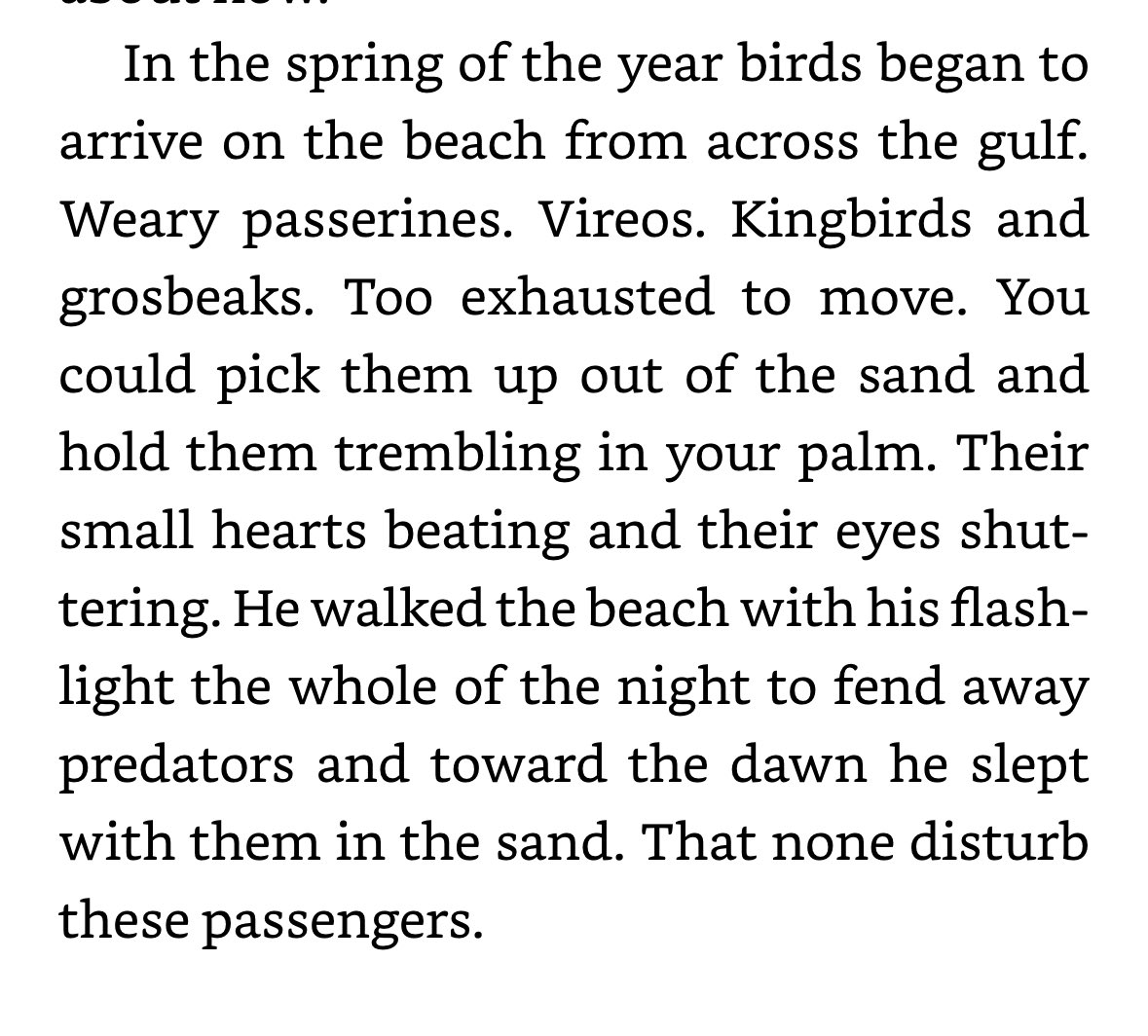 Josh Fullan tweet media