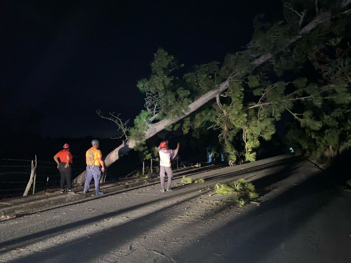 DefensaCivilRD's tweet photo. #ProvinciaDuarte
Durante la madrugada de este martes, miembros de la #DefensaCivilRD realizaron el corte y remoción de un árbol que colapsó y obstruía la carretera #LasCejas de San Francisco de Macorís. https://t.co/zOY0eEHw6G