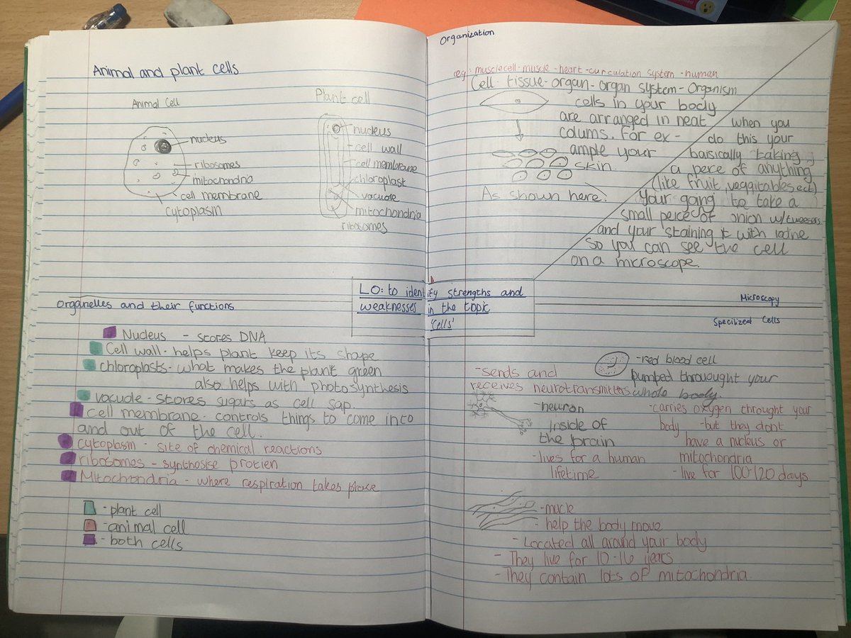 BJAB_Science's tweet photo. #BJABYear7 have been trying out different revision methods in preparation for their end of year exams. Life-long study skills in action! 🧠 #BJABOpportunities #BJABSTEAM https://t.co/GOpg67YlyV