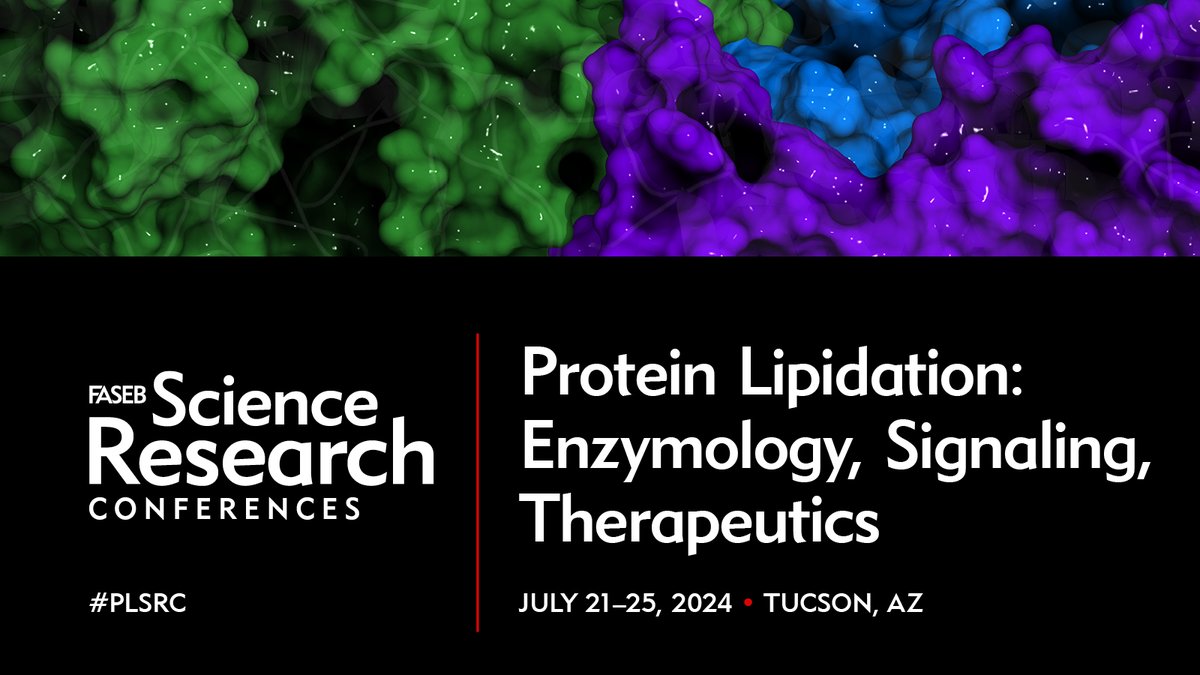 Early bird registration for @FASEBorg Protein Lipidation closes on 9 June! RSC Chemical Biology is proud to be sponsoring a poster prize at this year's meeting, which takes place 21-25 July in Tucson, AZ. Found out more: events.faseb.org/event/d933c599… #PLSRC