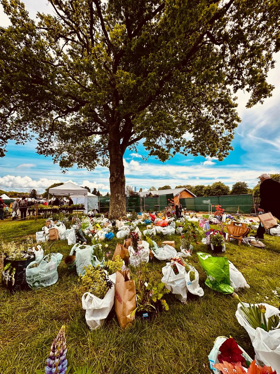 Colin Hayward tweet media