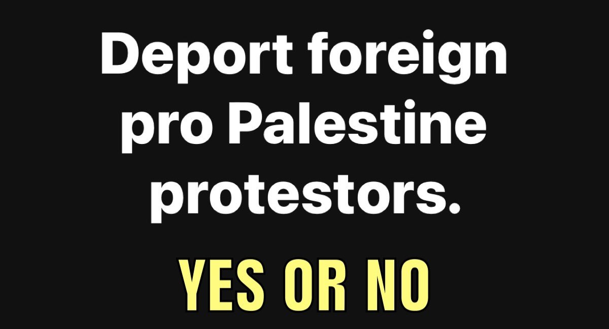 Deport foreign pro Palestine protesters. YES or NO