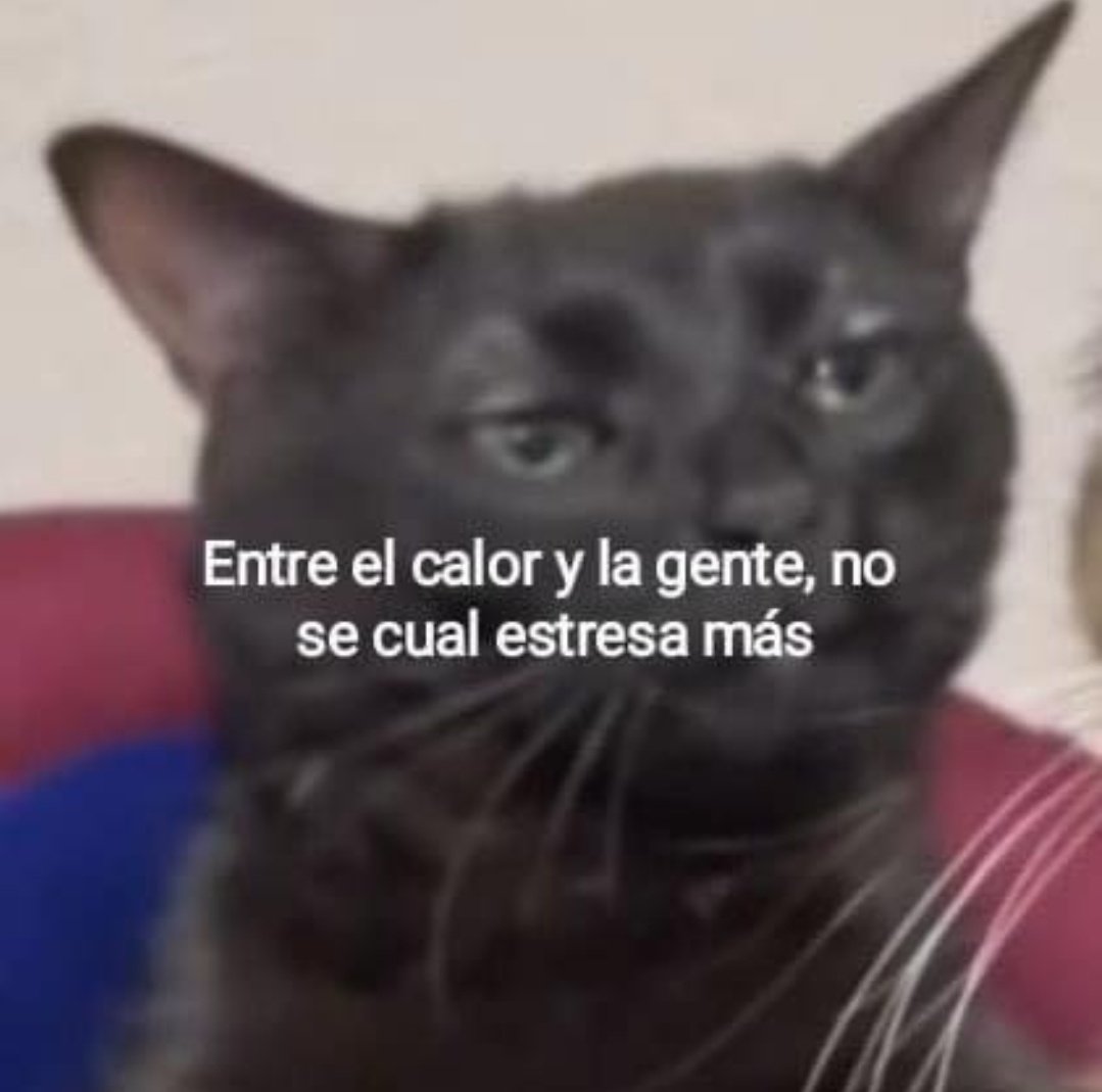 En_jupiter_'s tweet image. 