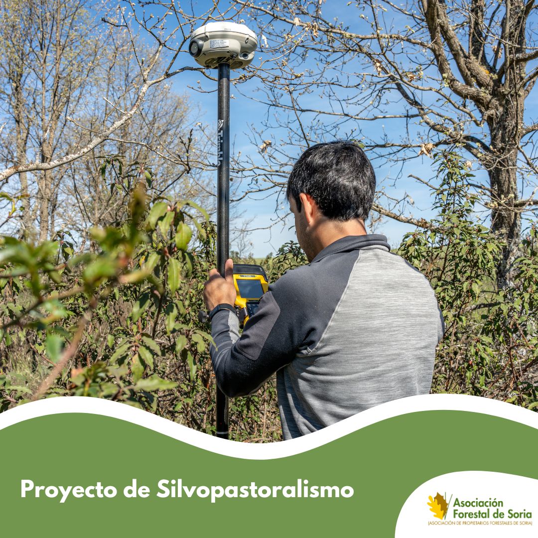 Esta semana, hemos dado el primer paso para la transformación de un terreno en desuso de uno de nuestros asociados en un espacio silvopastoral.
Los trabajos de medición para el vallado y desbroce de este monte de #Cidones ya han comenzado.

#sostenibilidad #biodiversidad #Soria