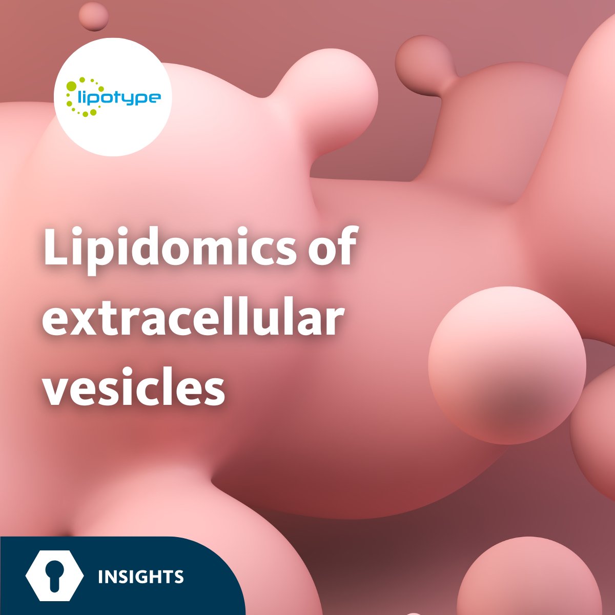 The #ExtracellularVesicles preparation method described by the authors outperforms conventional EV preparation methods.

Read the full publication here:
lipotype.com/lipidomics-res…

#research #lipid #lipidomics #LipidMetabolism #lipotype #lipidome #MassSpectrometry