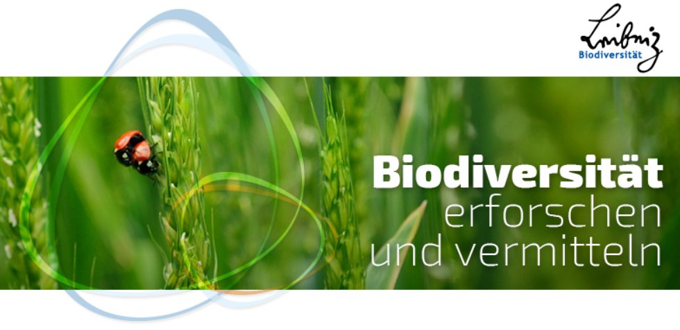 📰Der Frühjahrs-Newsletter von #LeibnizBiodiv ist da: bit.ly/3VbX4TC. Diese Ausgabe dreht sich rund um #Biodiversität|smonitoring🔍und #Landwirtschaft🚜und beinhaltet vielfältige Beiträge unserer 18 Mitglieder. Im gemischten Doppel diesmal: @LeibnizATB und @Leibniz_LIB.