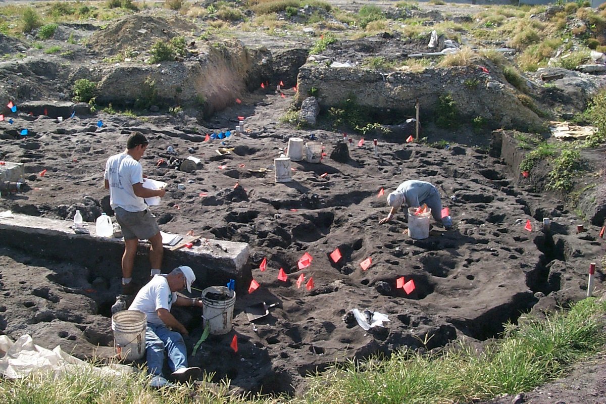 RER proudly acknowledges Jeff Ransom, our County Archaeologist, for 18 years. His tireless efforts have safeguarded numerous cultural sites in South Florida. Jeff's commitment earned him the Arva Parks McCabe Award last month. Congratulations, Jeff! #PeopleSavingPlaces