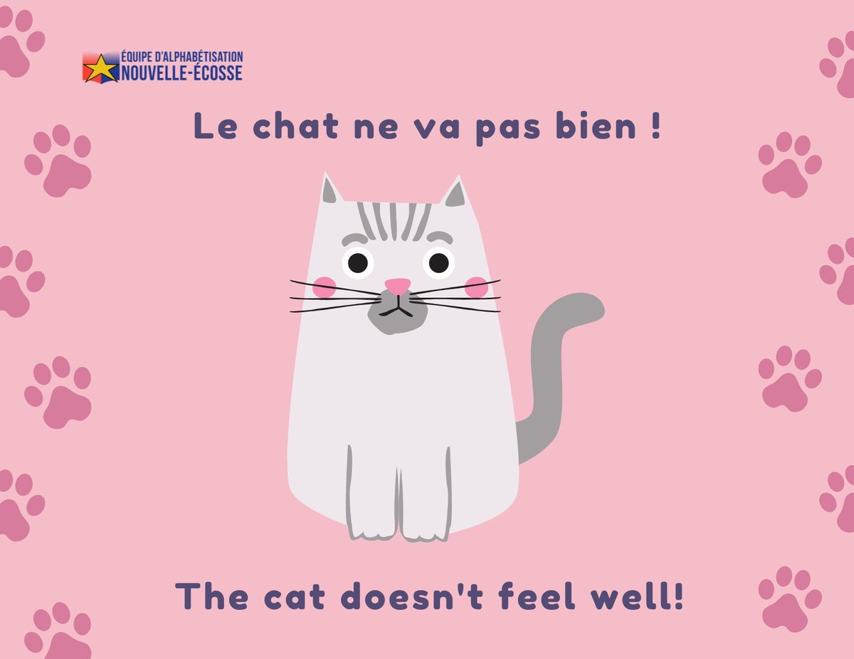 jpf_parents's tweet photo. 🗣️ Learn a New French Phrase! 
"Le chat ne va pas bien !"

Ever wondered how to express that the cat isn't feeling well in French? Here's a handy phrase:

👉 "Le chat ne va pas bien !" - This means "The cat doesn't feel well!"

Happy learning! 📚✨
#LearnFrench #FrenchPhrases https://t.co/wNQZLErrAF