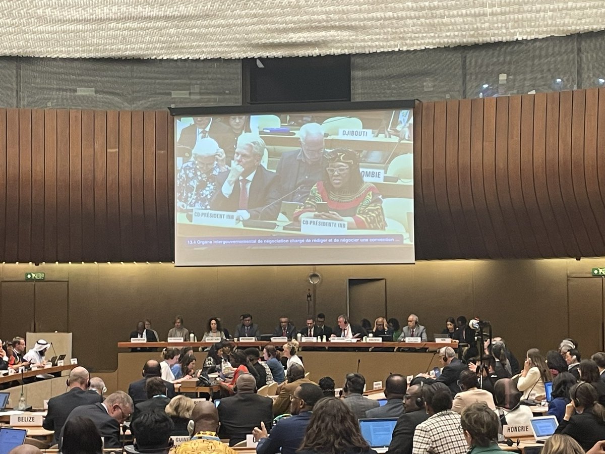 “It seems impossible until it is done”, co-Presidence of #INB quote of #Mandela to call for a Pandemic Accord within a reasonable period