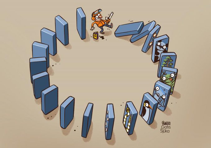 Domino effect : A cumulative effect produced when one event initiates a succession of similar events. Let's save all species and ourselves. What goes around, comes around.