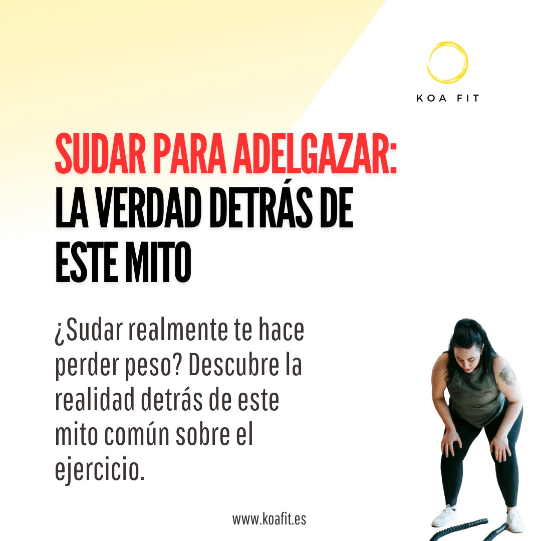 KOAFIT_ES's tweet photo. Lee mi entrada del blog https://t.co/0Pd10jkzak
#nuevaentradadelblog https://t.co/F407pZiQT5