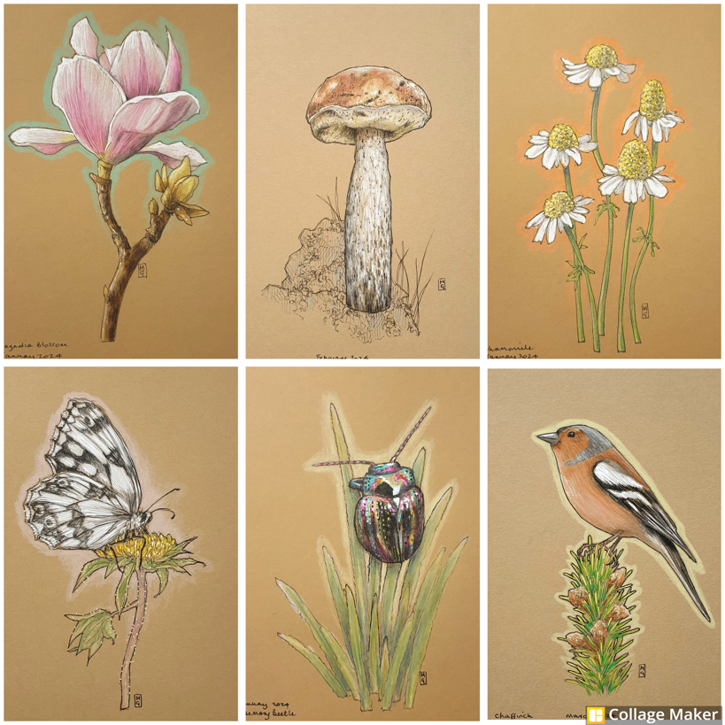 Little drawings on brown paper... artist's quality of course, I don't mean old grocery bags! The colour really helps me to bring out the lights and darks and gives a nice simple and clean background. etsy.com/shop/TheWeeOwl… #drawing #Flowers #Mushrooms #Birds #insects