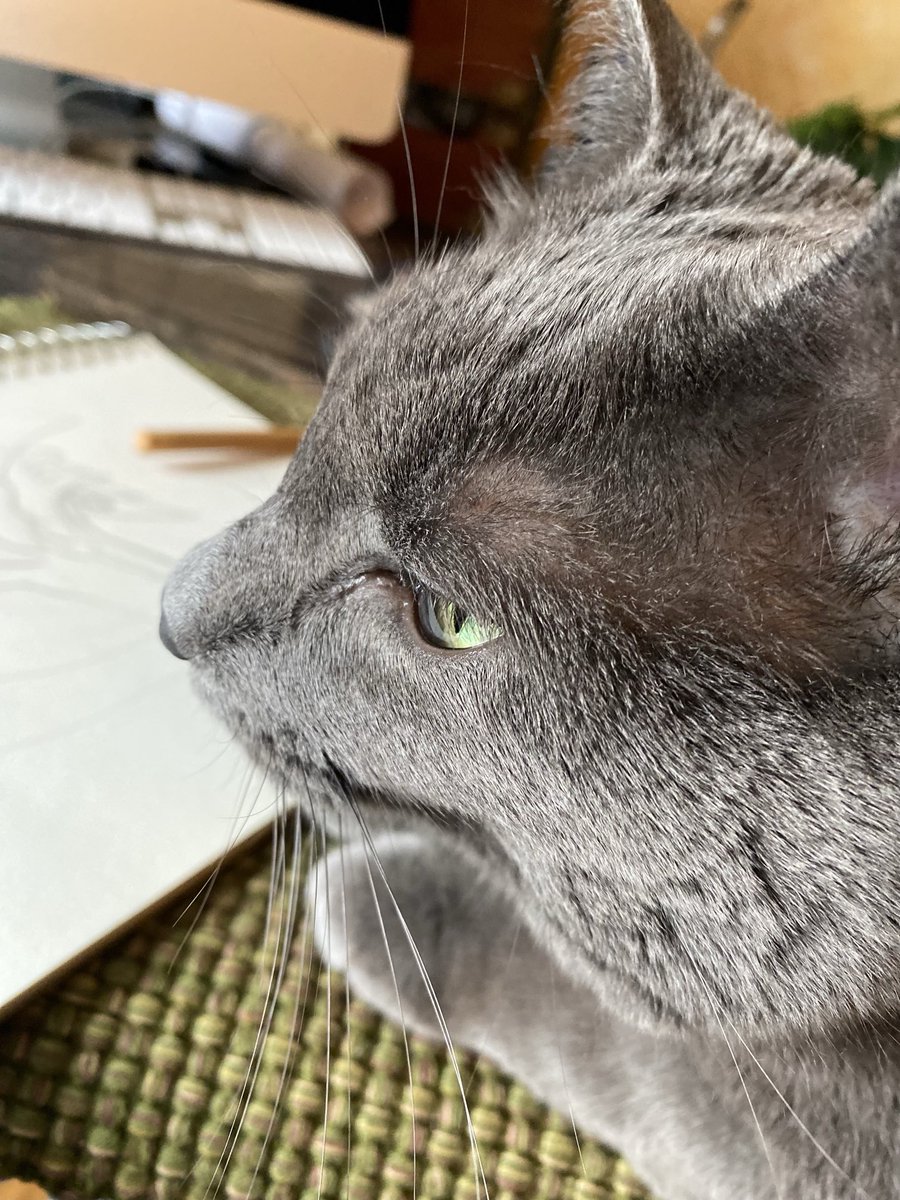 #zshq Pals, I am giving details of a recently sighted zombie to my sketch artist. Rahaha!