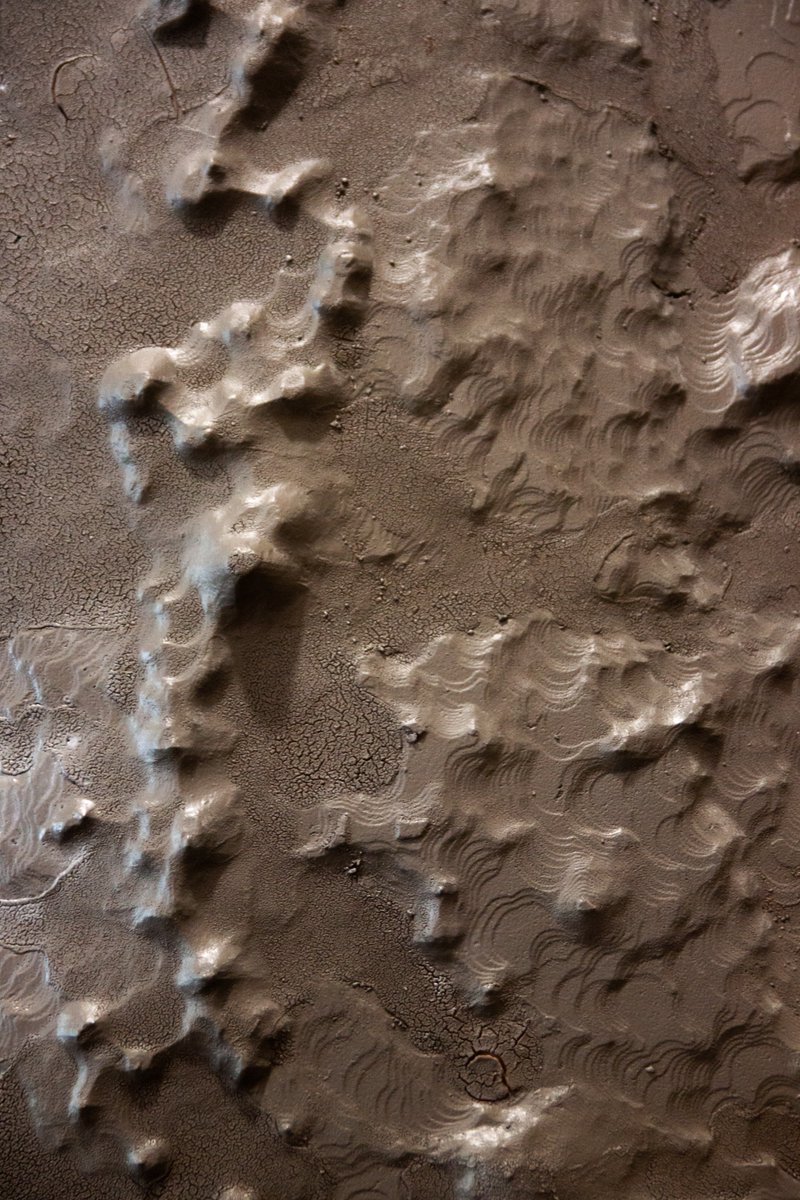 Parc Vulcania tweet media