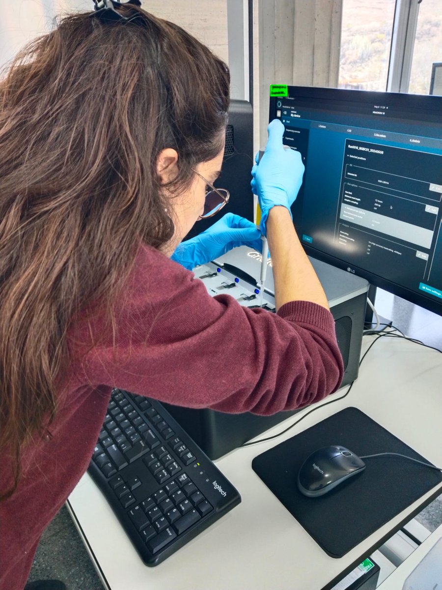 As part of her thesis funded by @agenciaiisi, Irene Santos-Perdomo is conducting a research stay in @ITERtenerife's #genomic area, focusing on massive sequencing of #soilbiodiversity with Nanopore technology, and data analysis  🧬👩‍💻