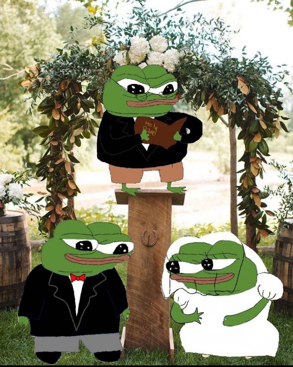 🌿🌹🕊️GM, my Sweet Frens ~ today is my 25th Wedding Anniversary. Please send me Beautiful Love💗Apu memes to make me smile🕊️🌹🌿