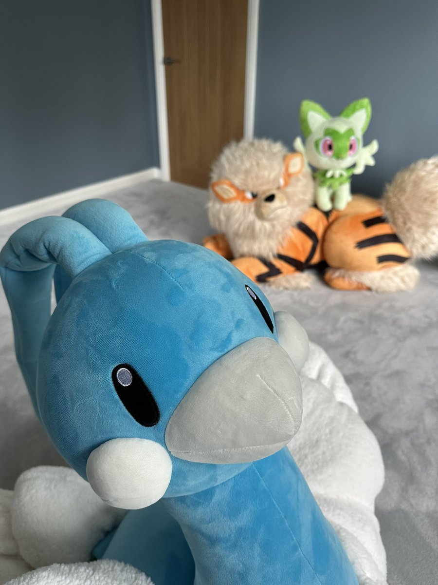 New carpet in!!! It’s so gorgeously fluffy and soft ☺️ Bonus guests: trainer size Altaria, Arcanine and Sprigatito 🧍‍♀️💕