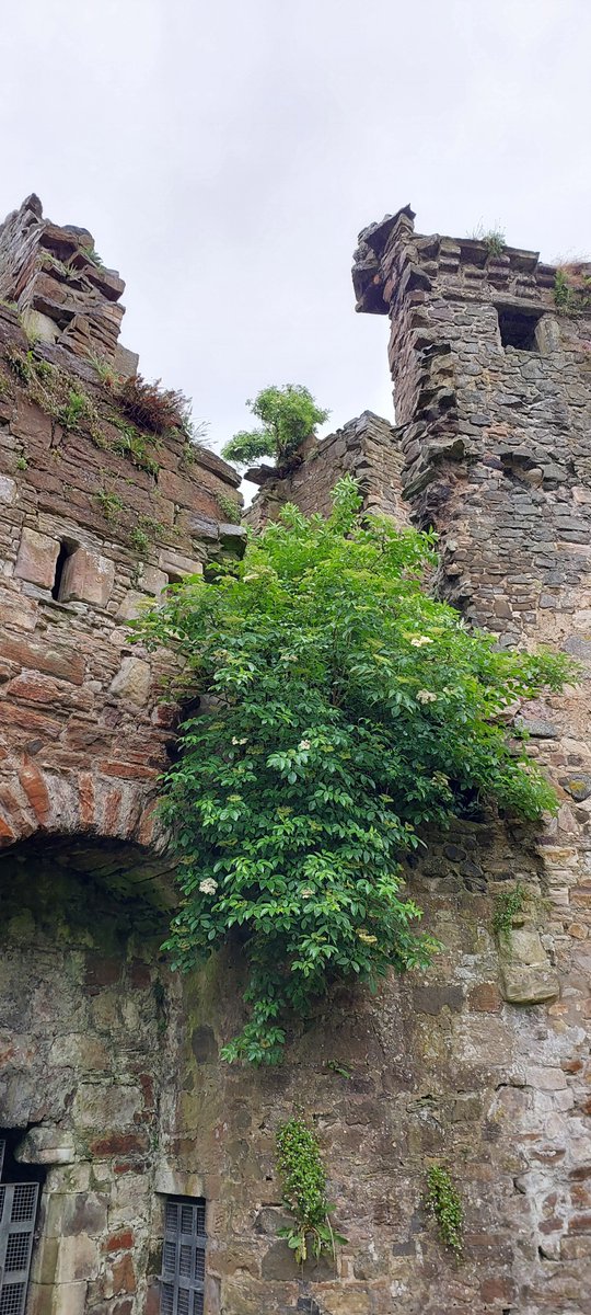 🏰The Council has agreed to allocate additional funds from the Irvine Common Good fund towards the ongoing works to preserve Seagate Castle in Irvine. The castle is an important part of the town’s heritage. Read more here: tinyurl.com/4fjxtmaz