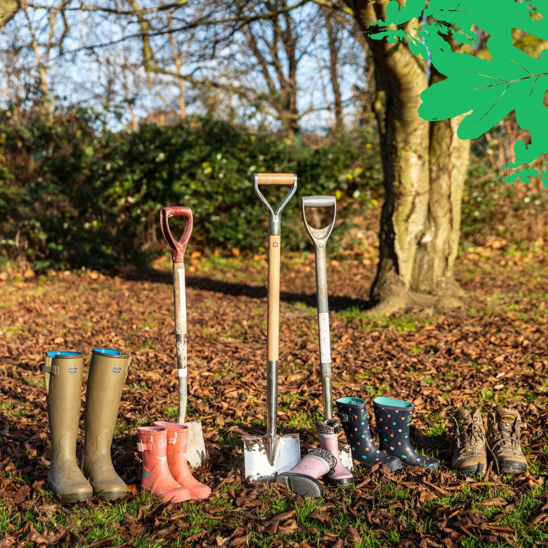 woodland trust seems to be advertising a grim discovery in the woods.