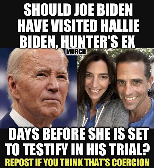 He paid her a surprise nighttime visit. Hallie is one of the key witnesses in the alleged federal gun crimes charges against Hunter Biden. Who thinks it suspicious as hell that he visited her before the trial? 🙋‍♂️ Surely not to coerce her or tell her what to say right? 😑